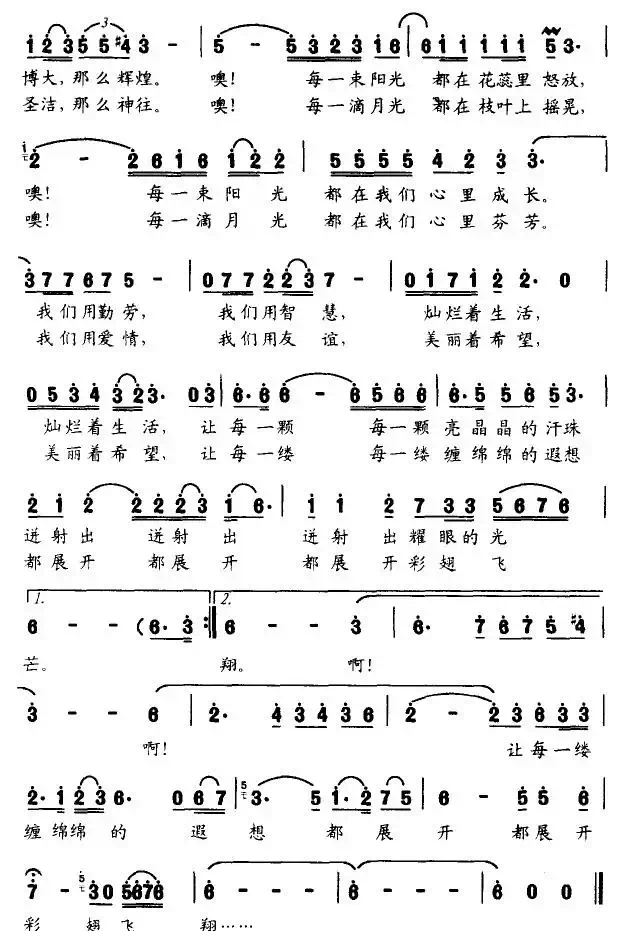 阳光 月光