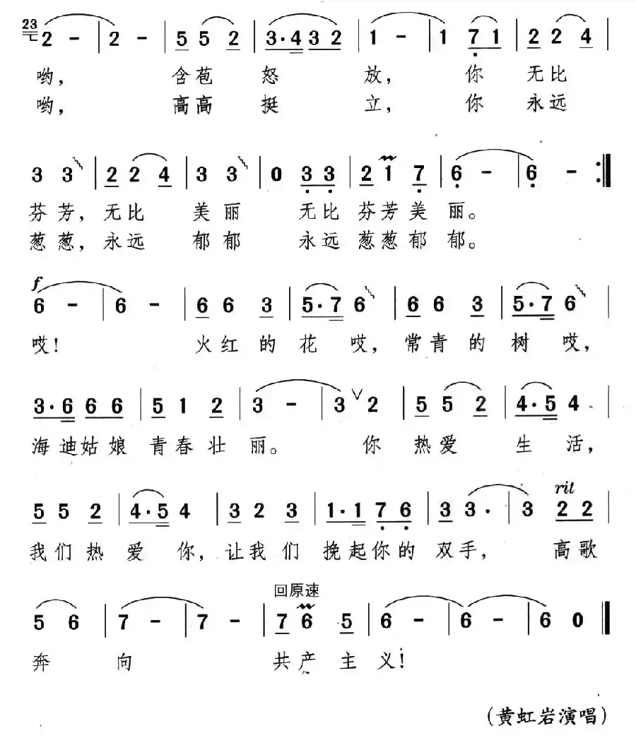 火红的花,常青的树