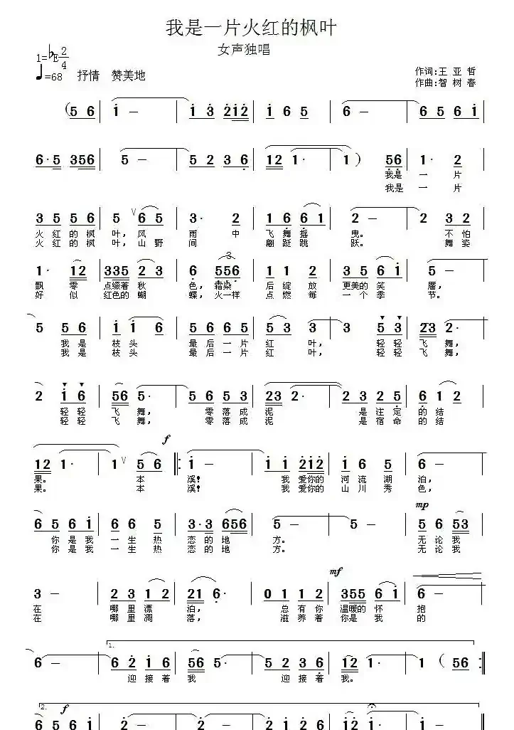 我是一片火红的枫叶