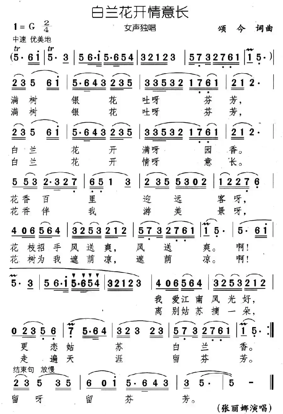 白兰花开情意长