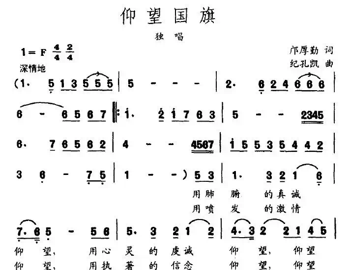 仰望国旗