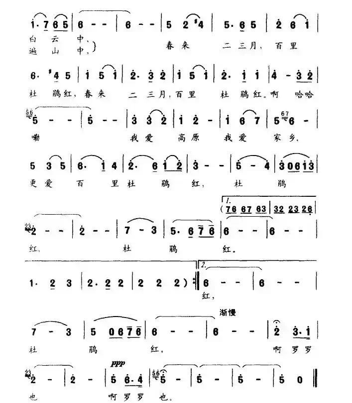 我爱家乡杜鹃红