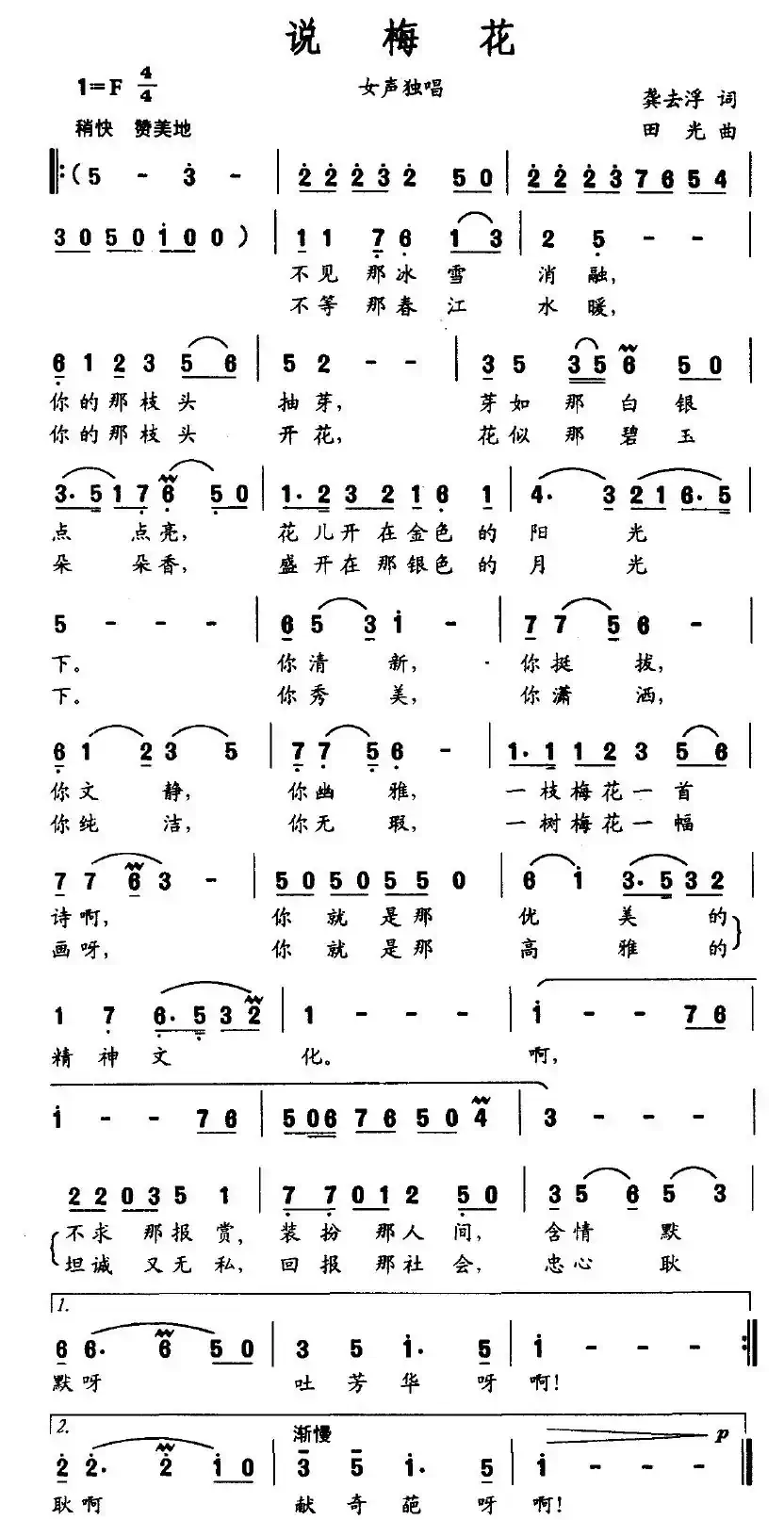 说梅花