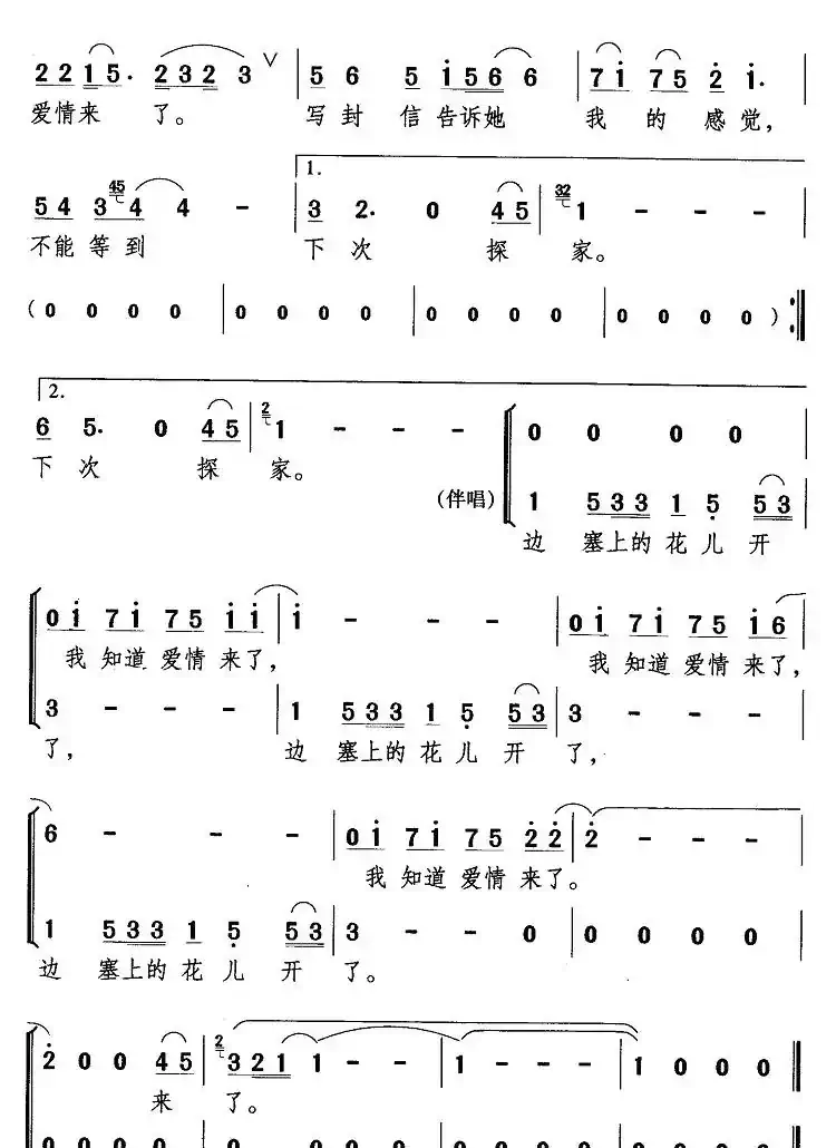 边寨上的花儿开了