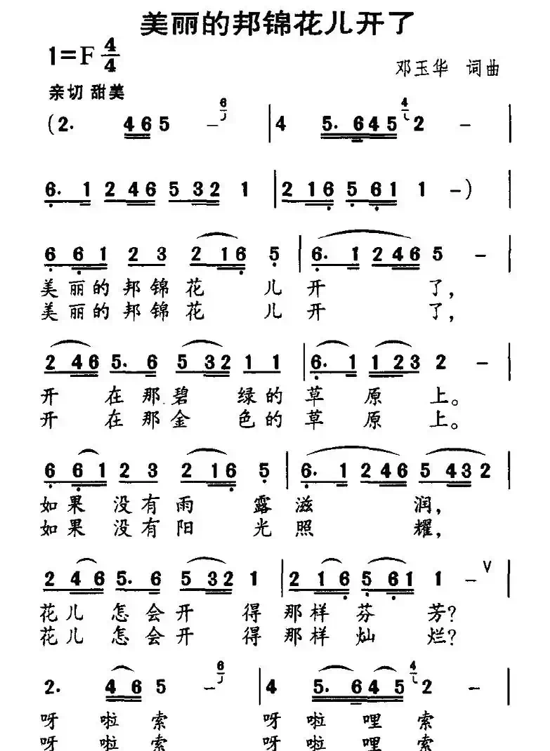 美丽的邦锦花儿开了