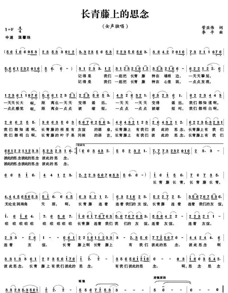 长青藤上的思念