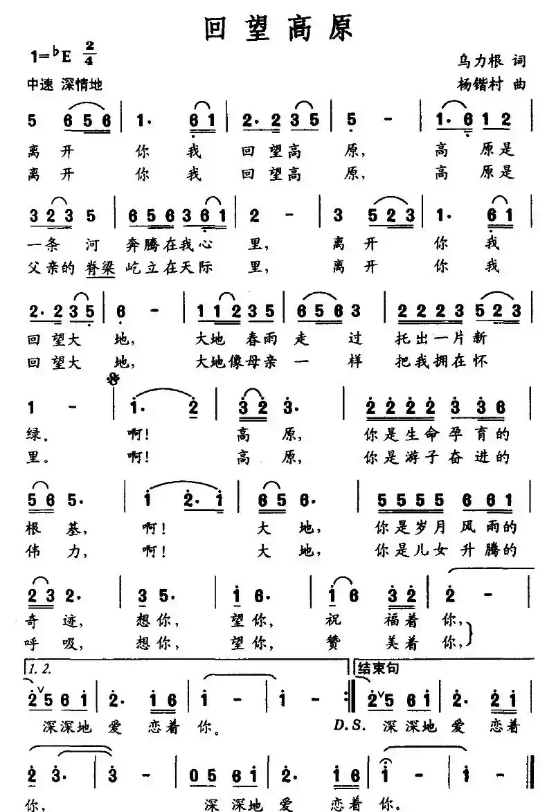 回望高原