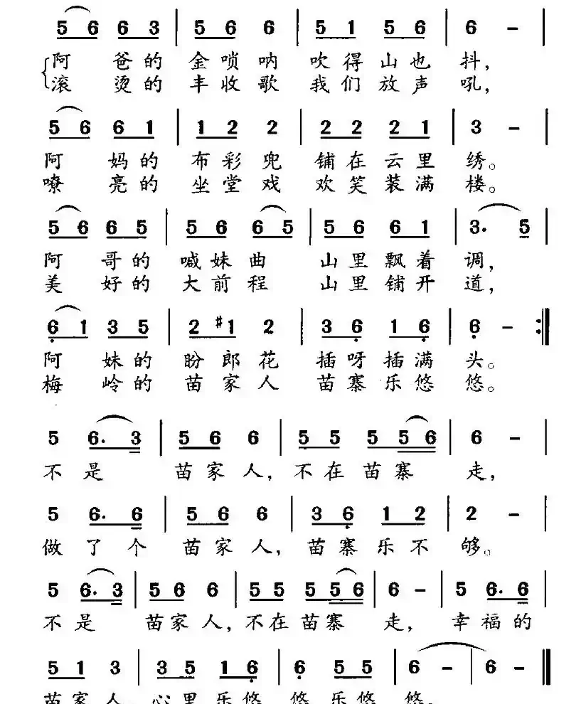 欢乐的苗寨