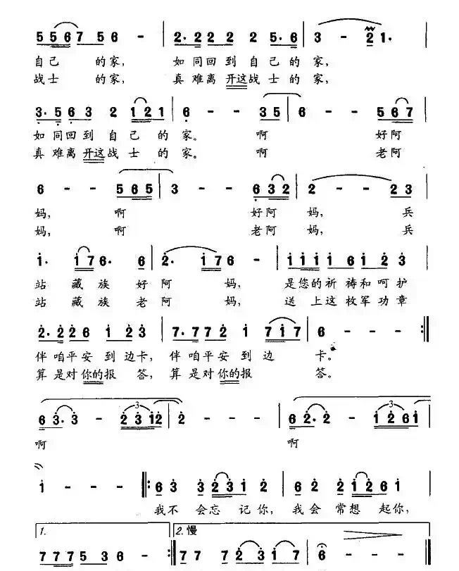兵站老阿妈