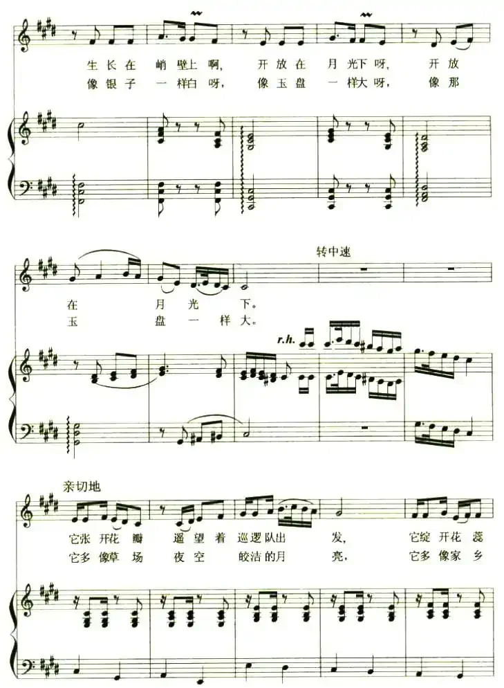 月亮花（瞿琮词 刘虹曲、正谱）