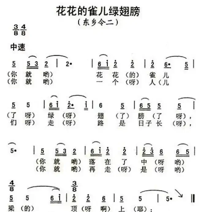 花花的雀儿绿翅膀
