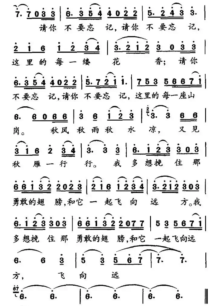 又见秋雁一行行