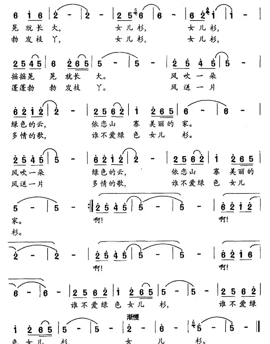 女儿杉（佘致迪词 张长松曲）