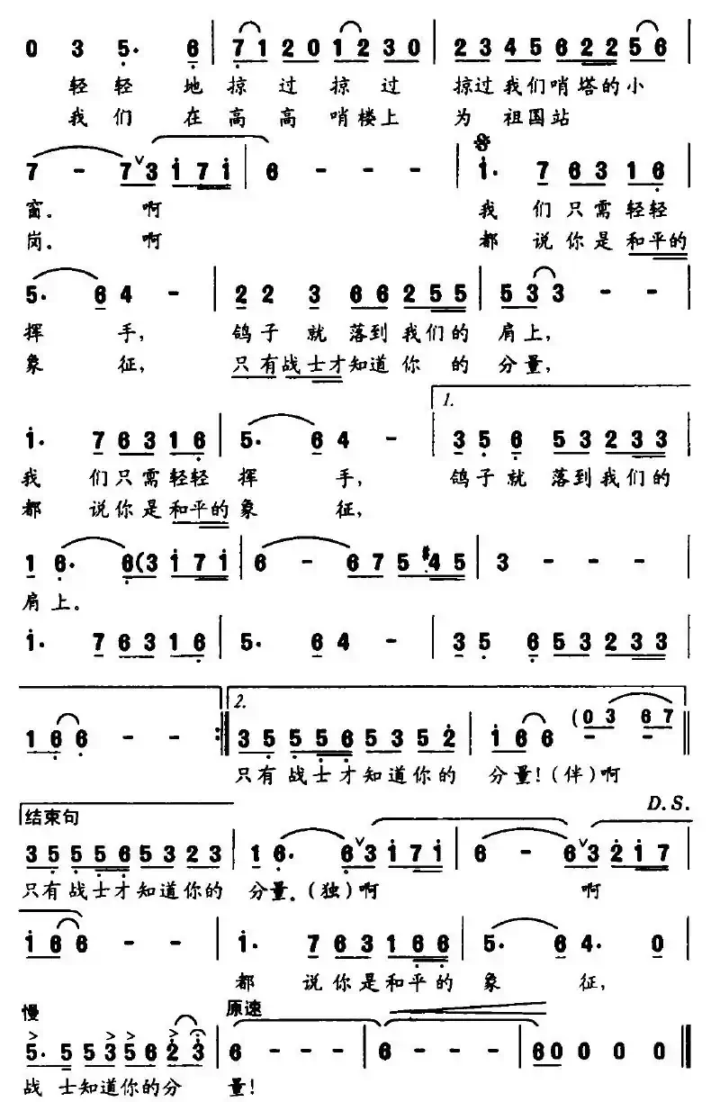 肩上的鸽子
