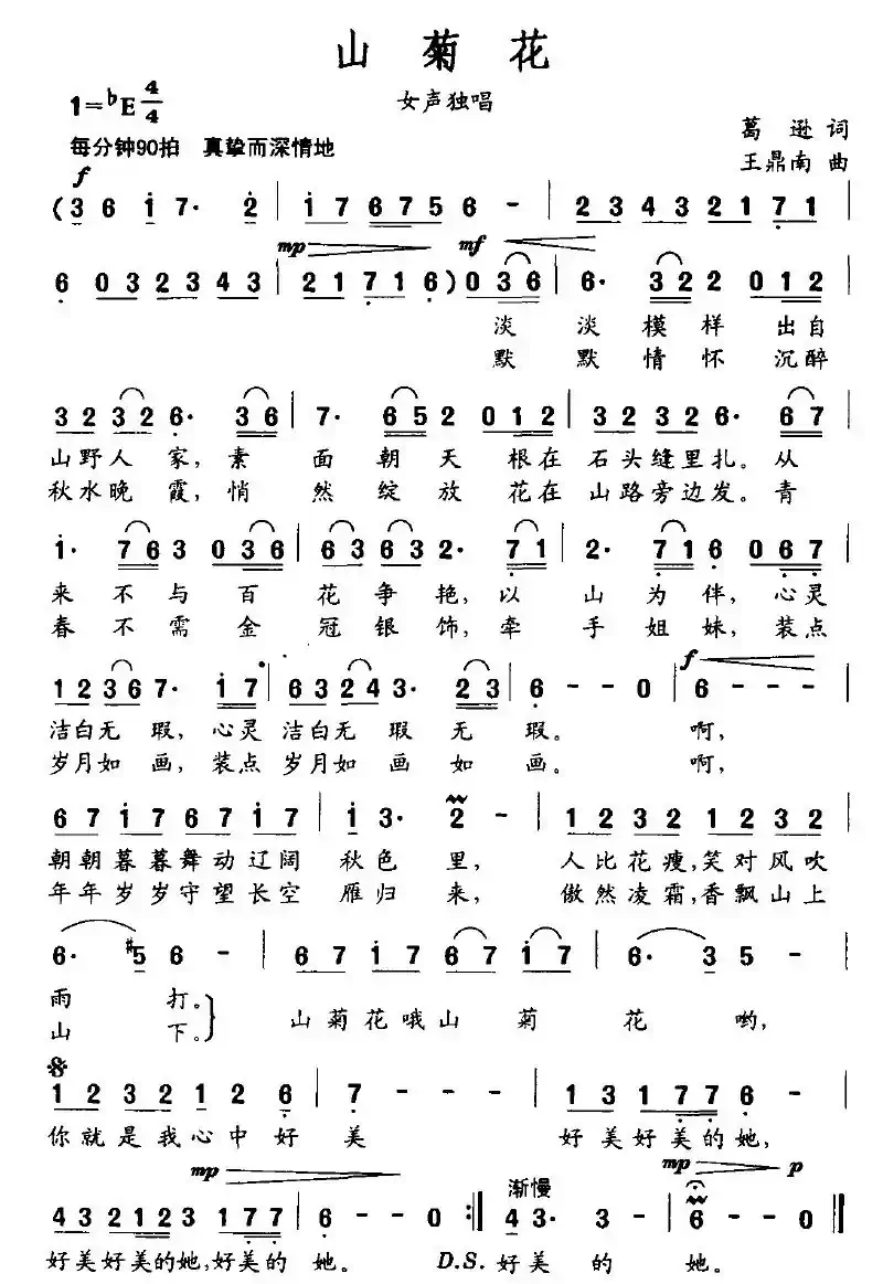 山菊花（葛逊词 王鼎南曲）
