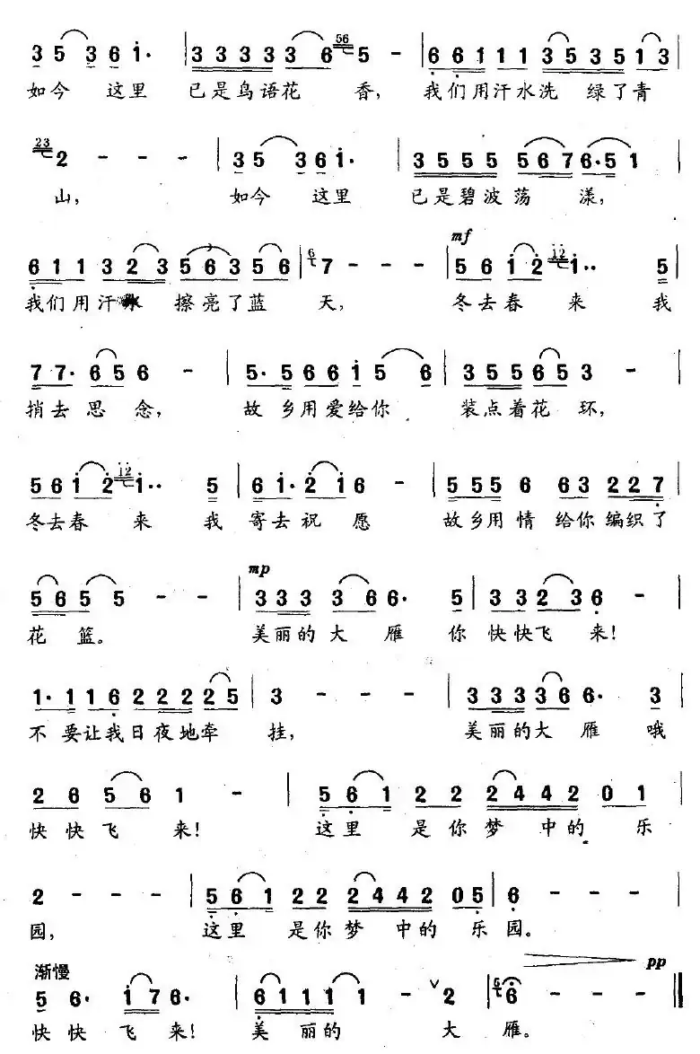 美丽的大雁