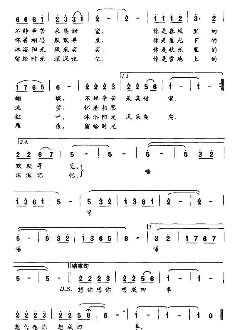 想你四季