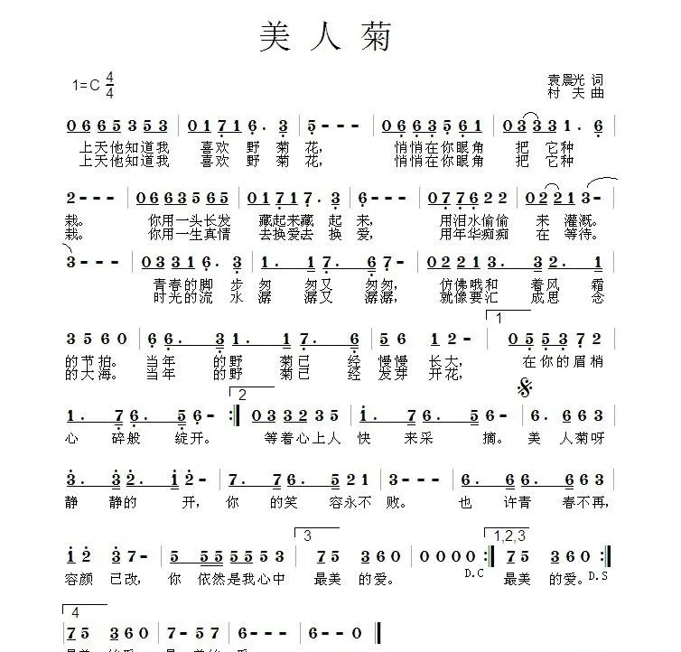 美人菊