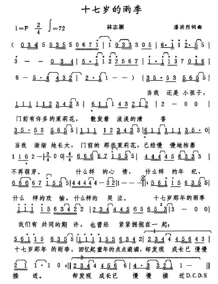 十七岁的雨季