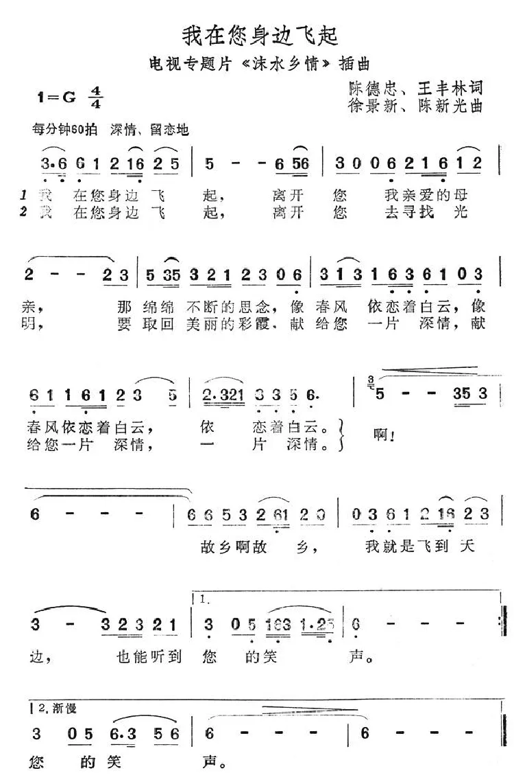 我在您身边飞起（电视专题片《沫水乡情》插曲）