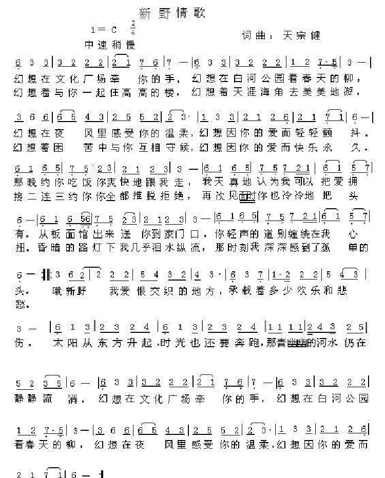 新野情歌