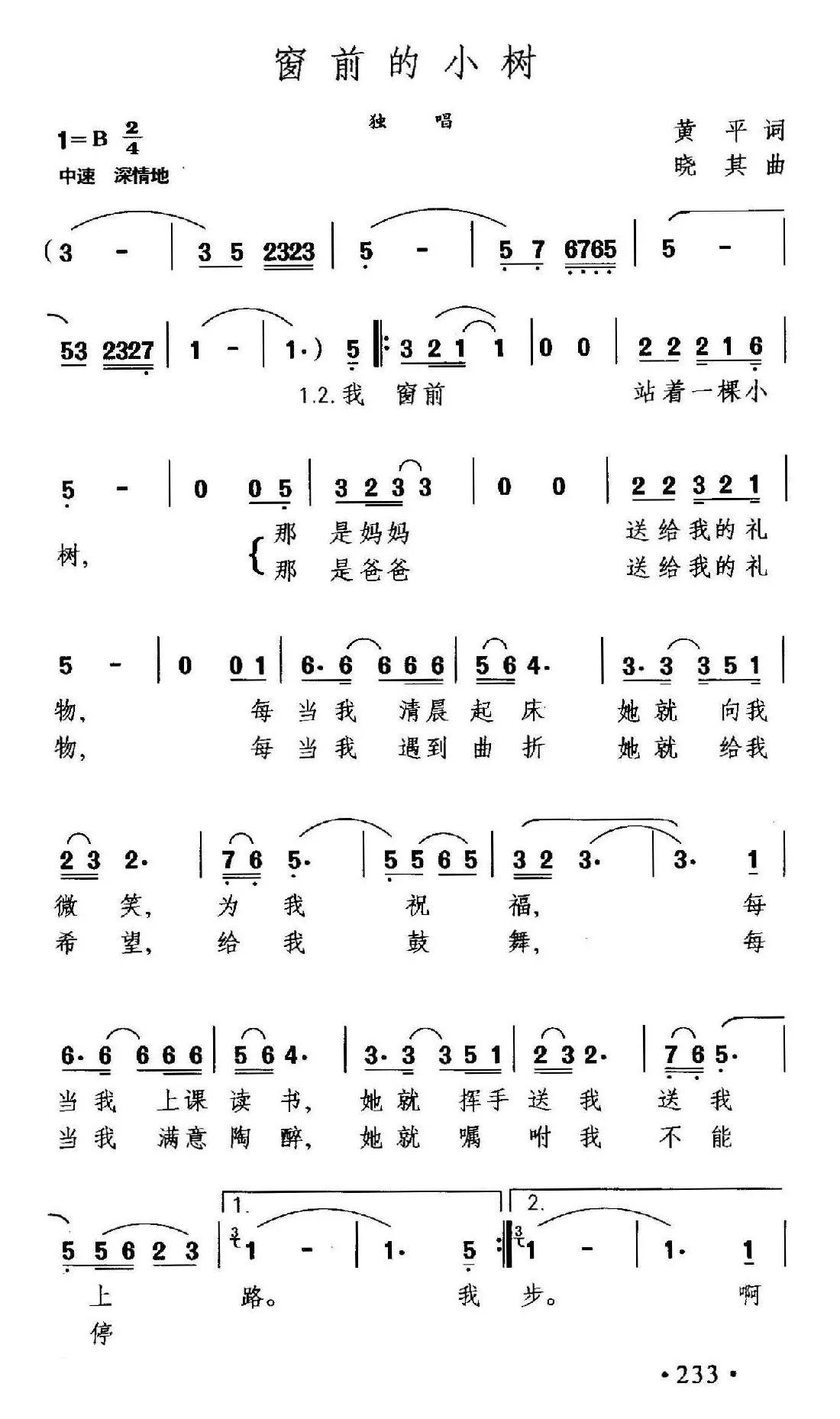 窗前的小树