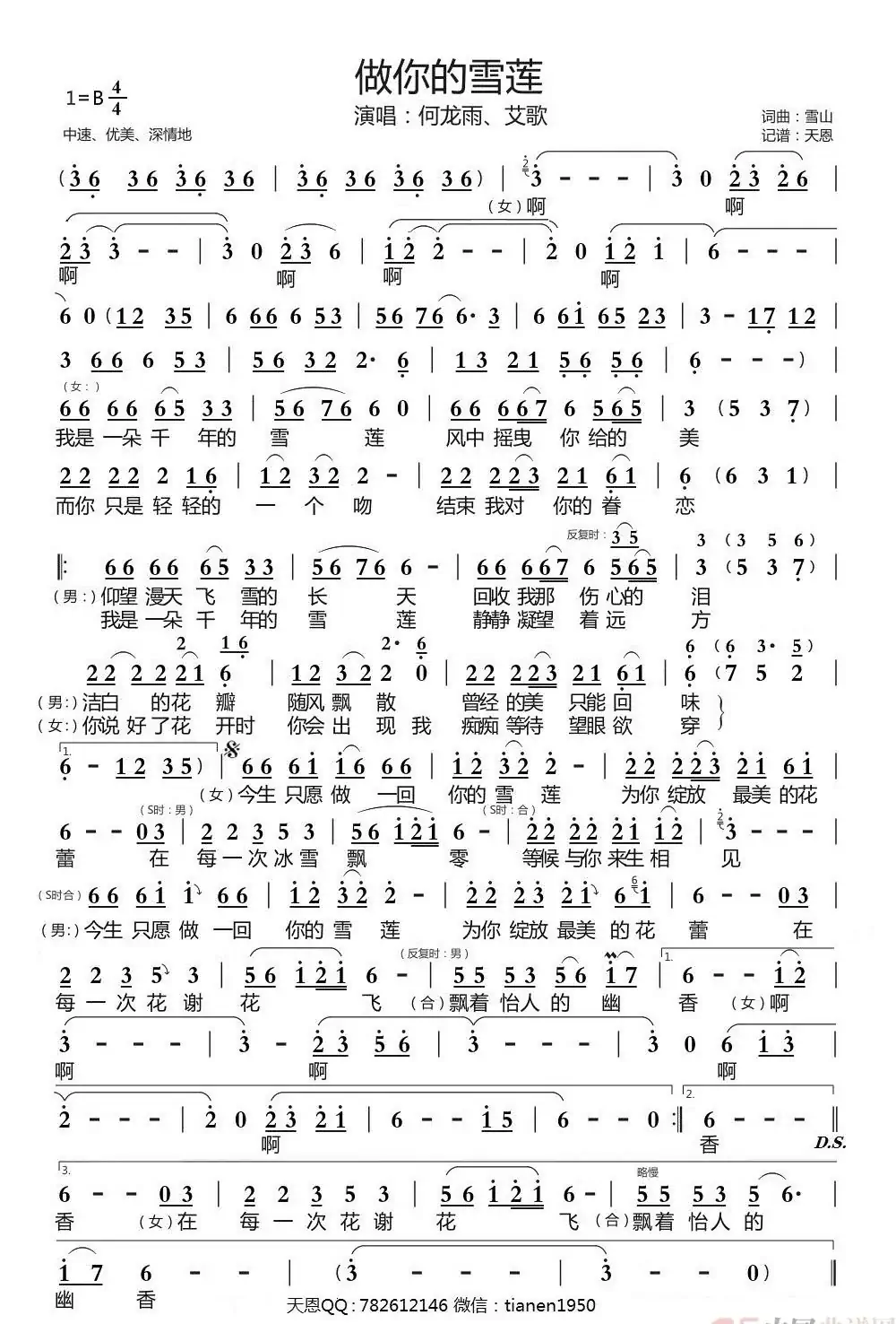 做你的雪莲（男女生对唱版）