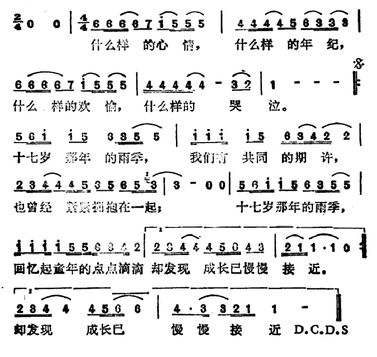 十七岁的雨季