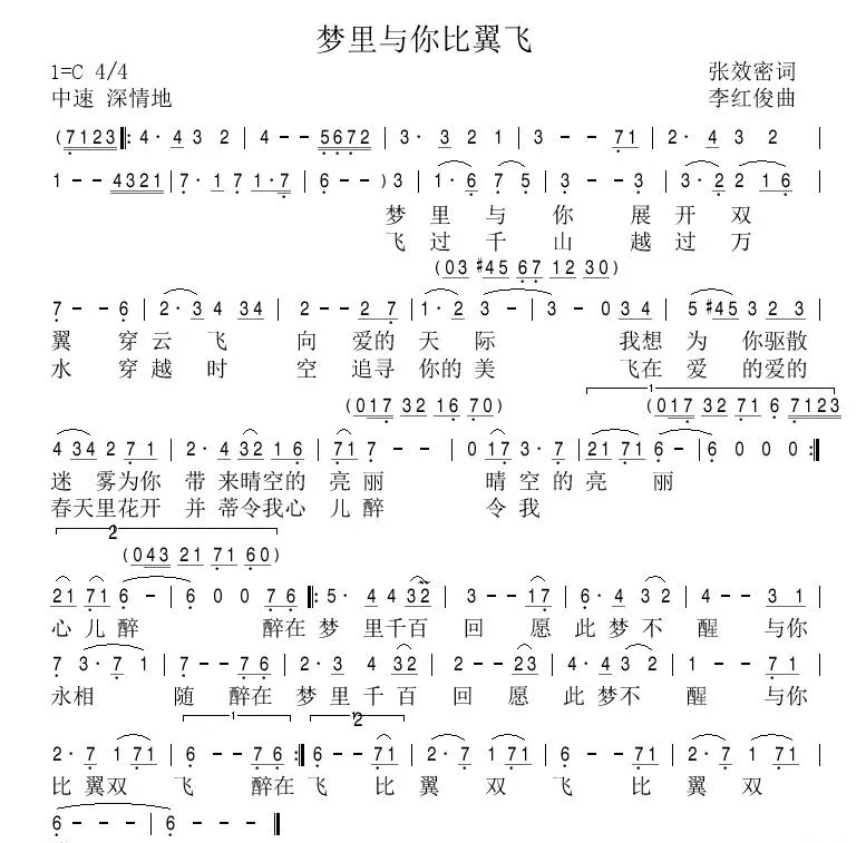 梦里与你比翼飞（张效密词 李红俊曲）