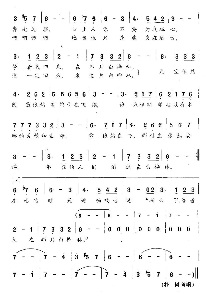 白桦林（朴树词曲）