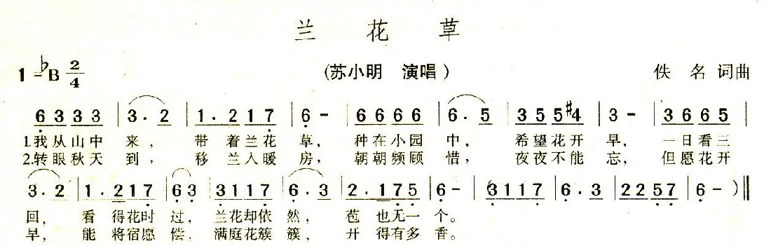 兰花草