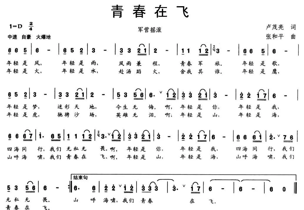 青春在飞