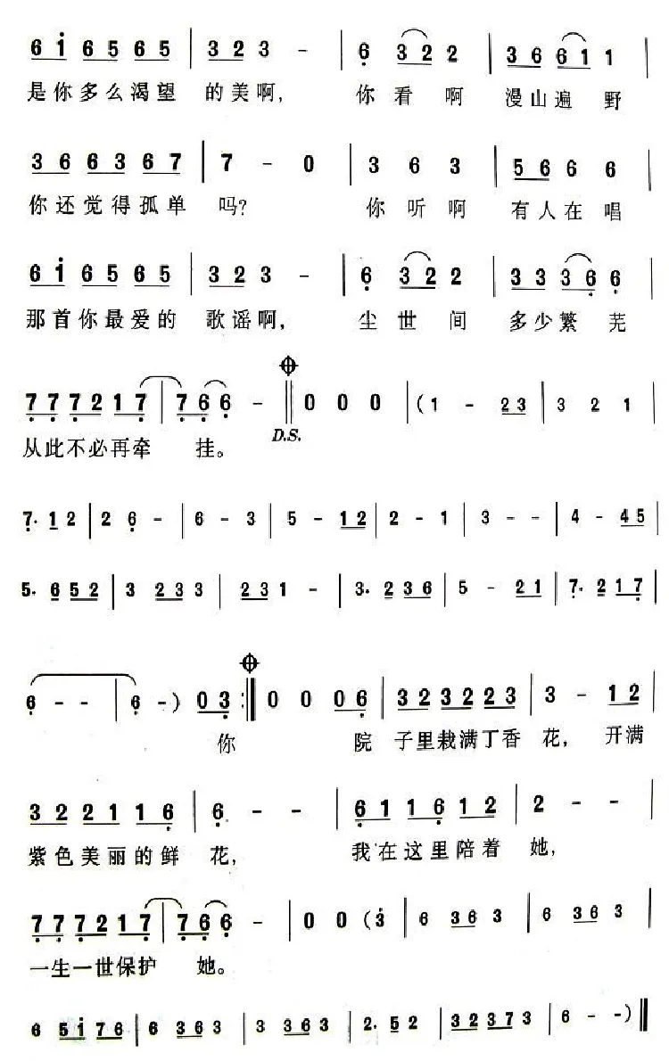 丁香花