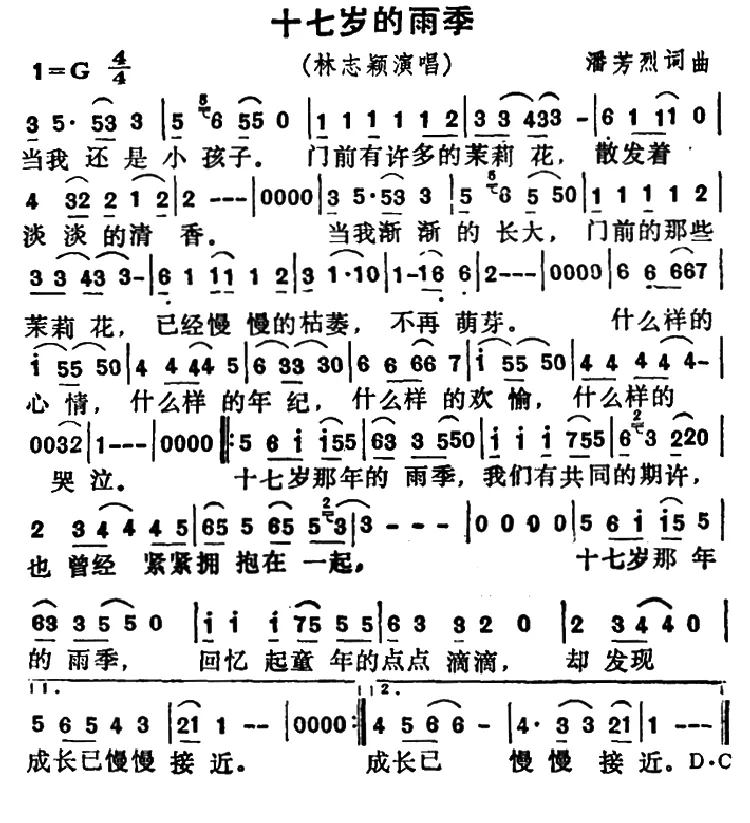 十七岁的雨季