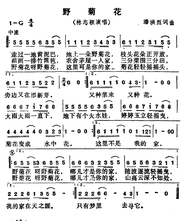 野菊花（夏歌词 夏歌 潘芳烈曲）