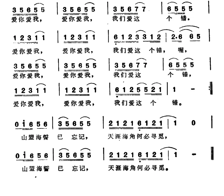 我们爱这个错