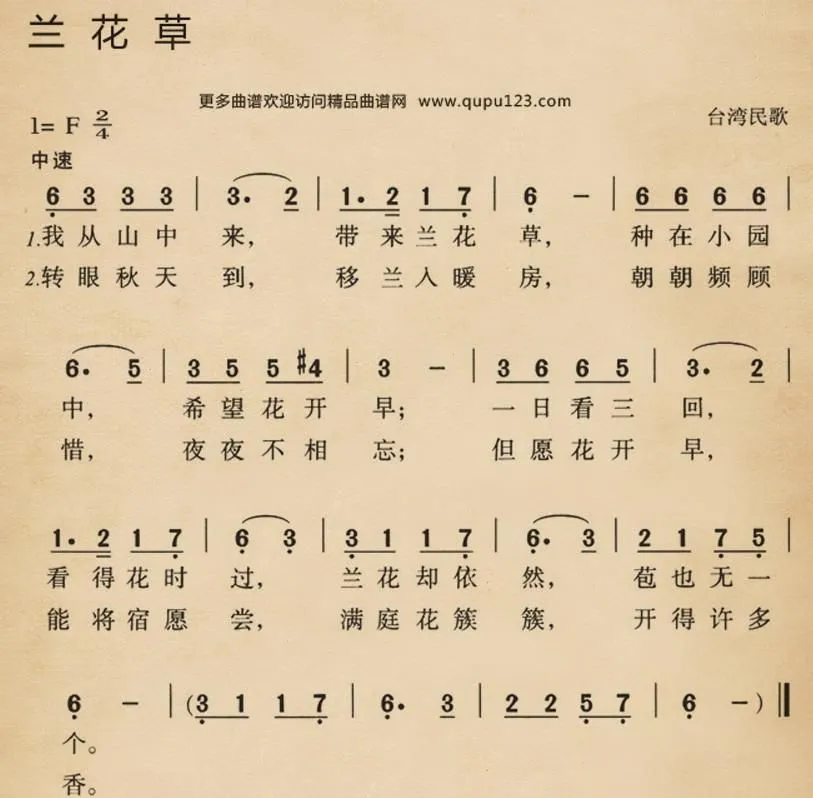 兰花草