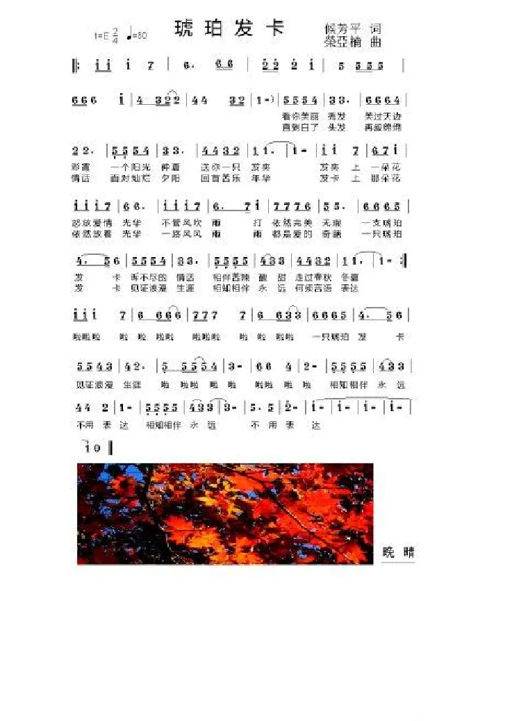 琥珀发卡