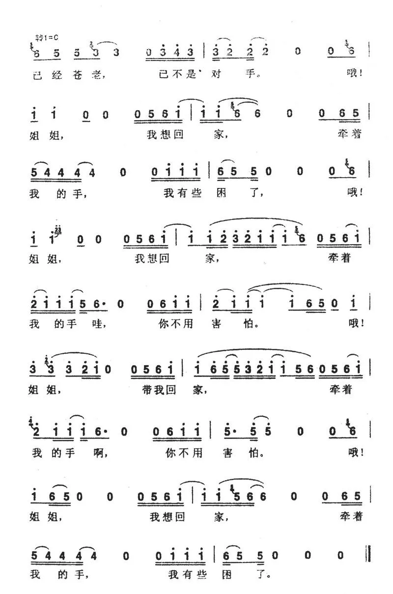 姐姐（张楚词曲）