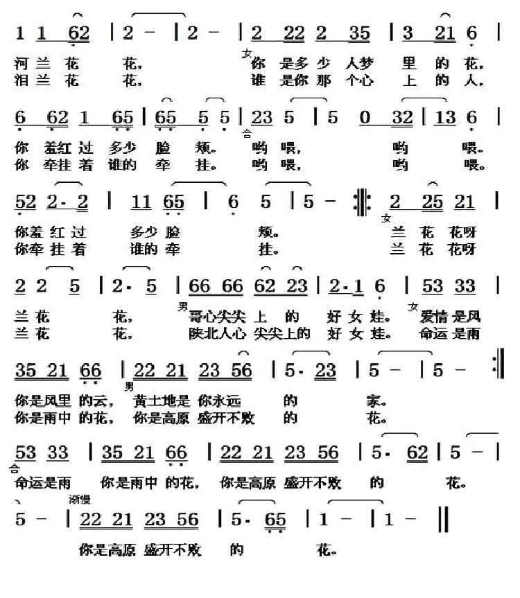 心尖尖上的兰花花