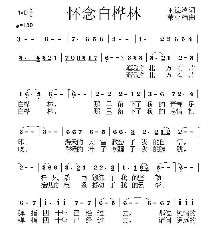 怀念白桦林
