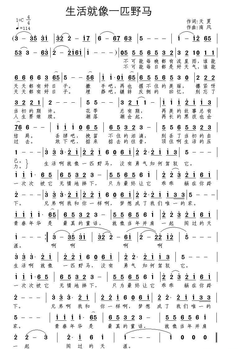 生活就像一匹野马