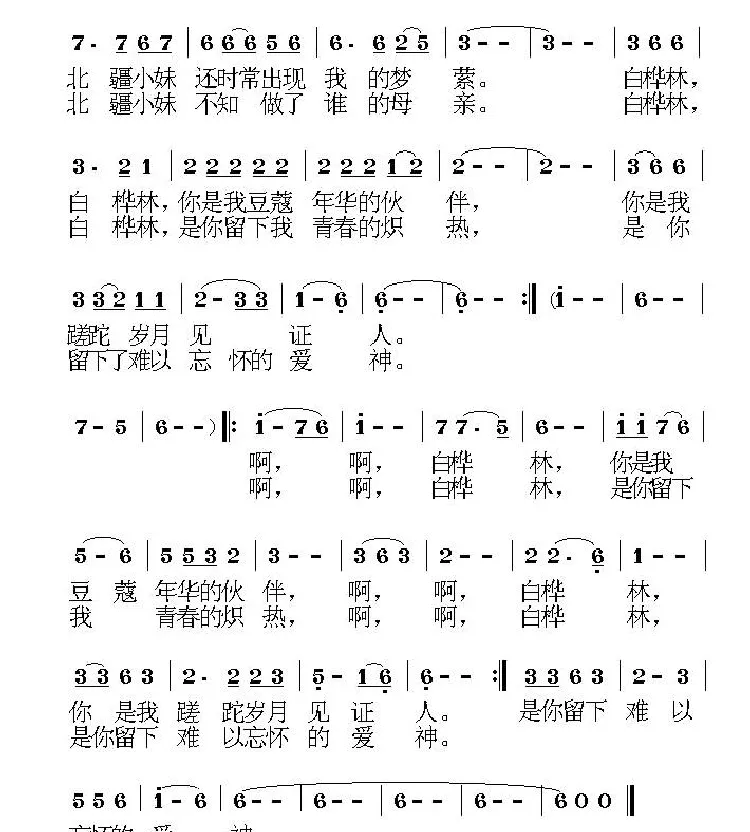 怀念白桦林