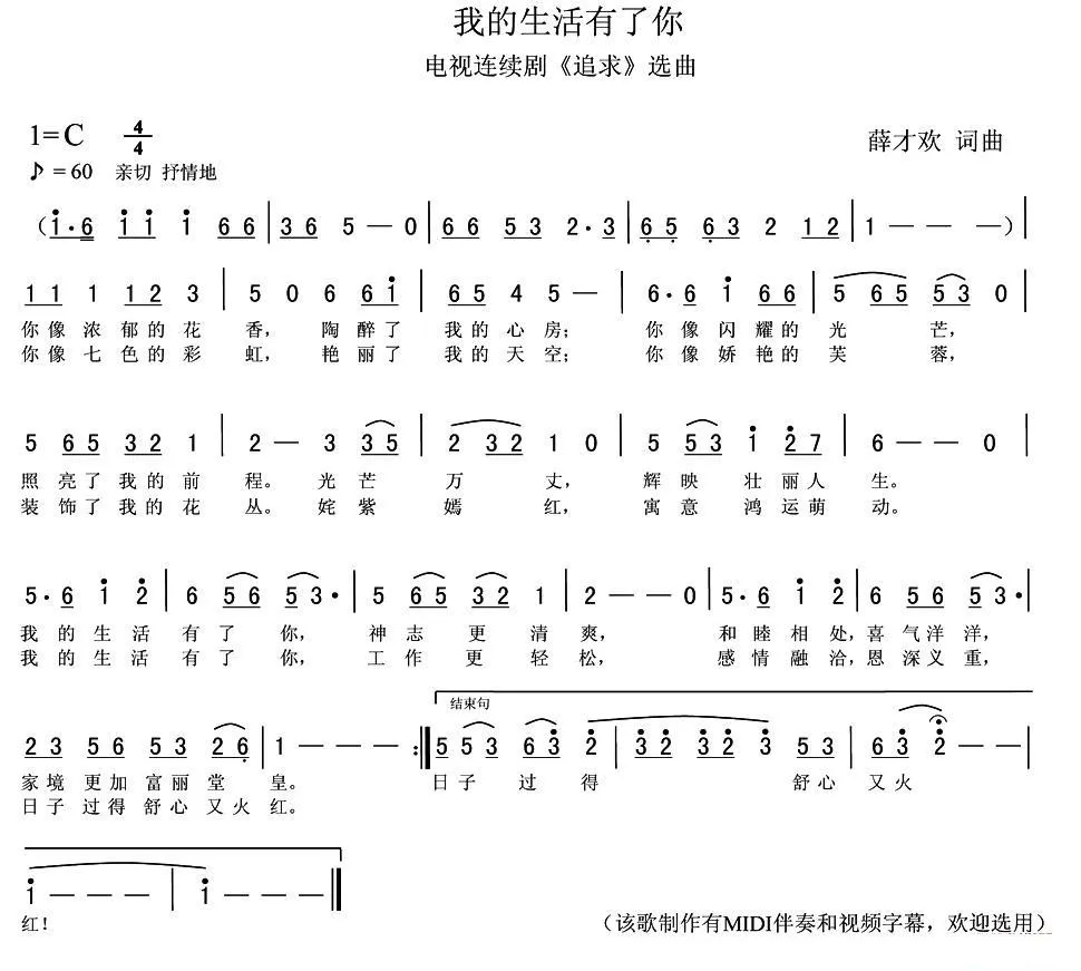 我的生活有了你（电视连续剧《追求》选曲）