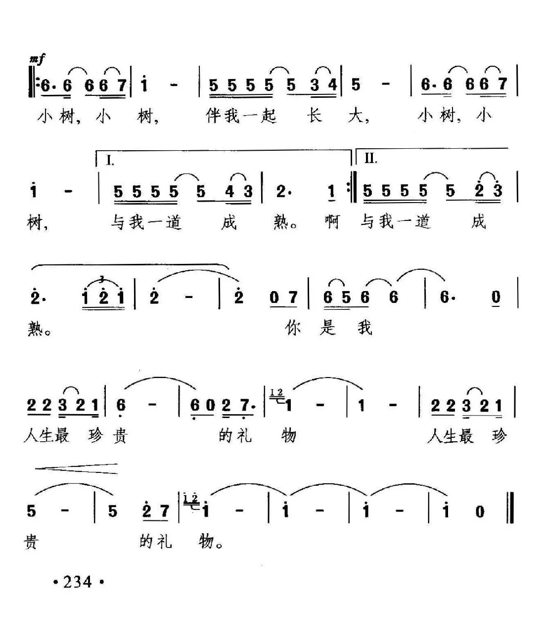 窗前的小树