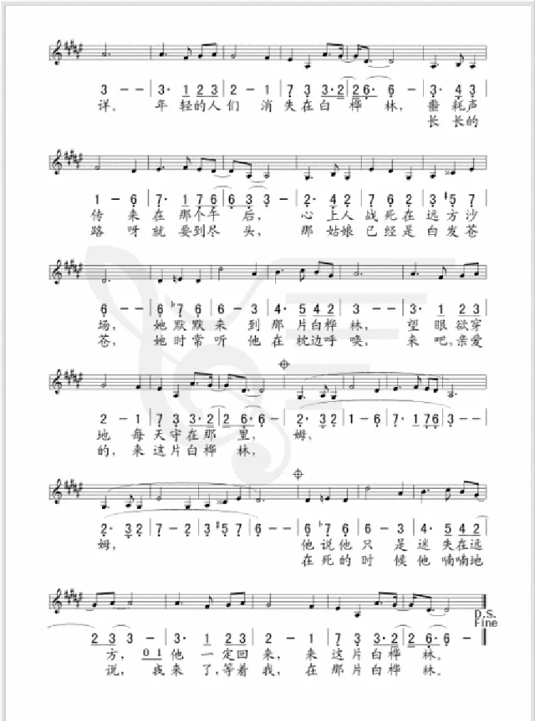 白桦林（朴树词曲）