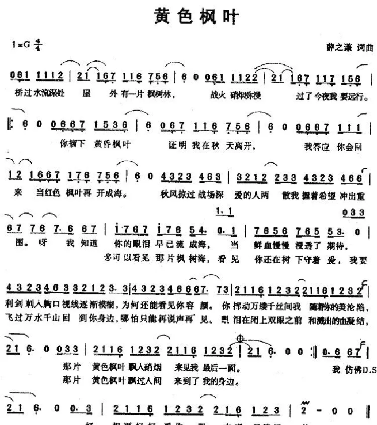 黄色枫叶