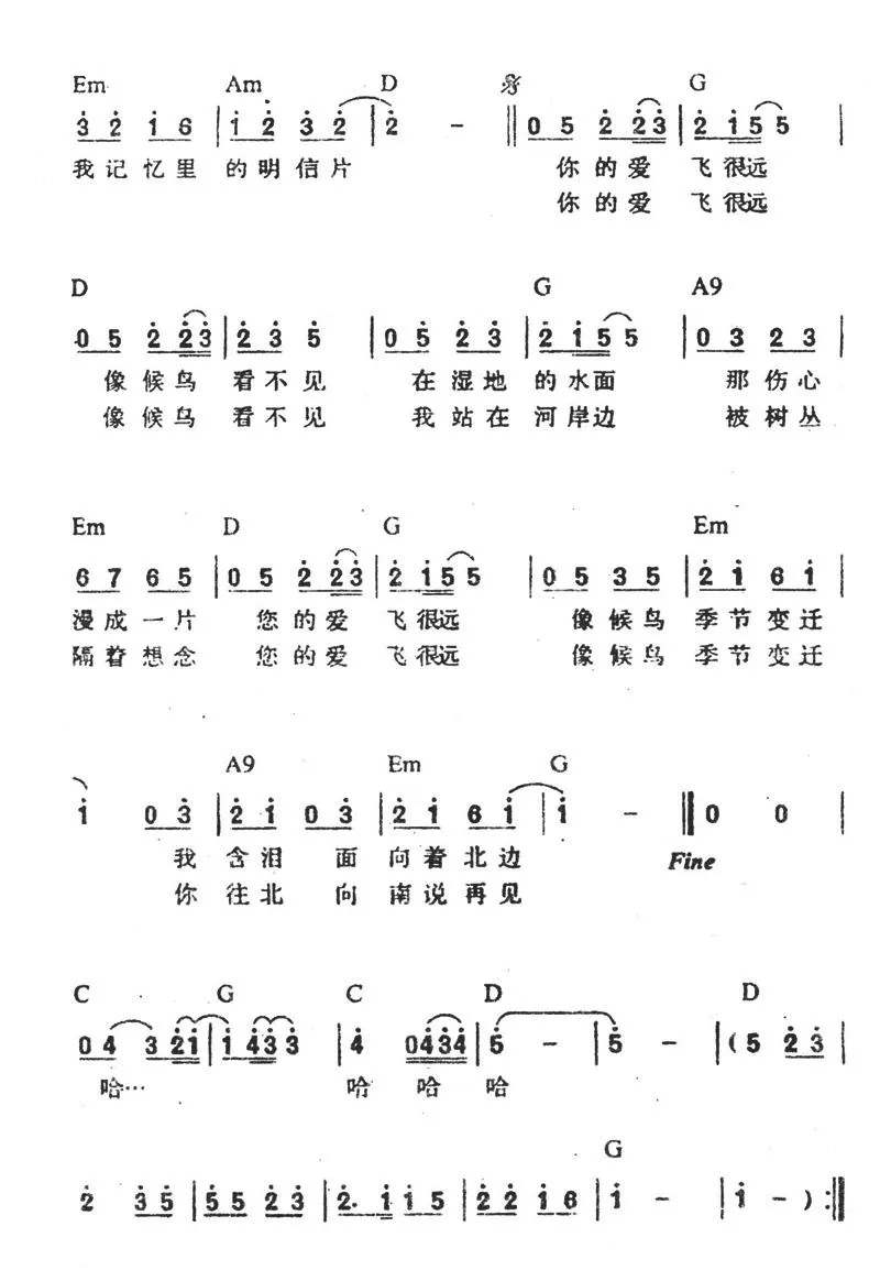 候鸟（方文山词 周杰伦曲）