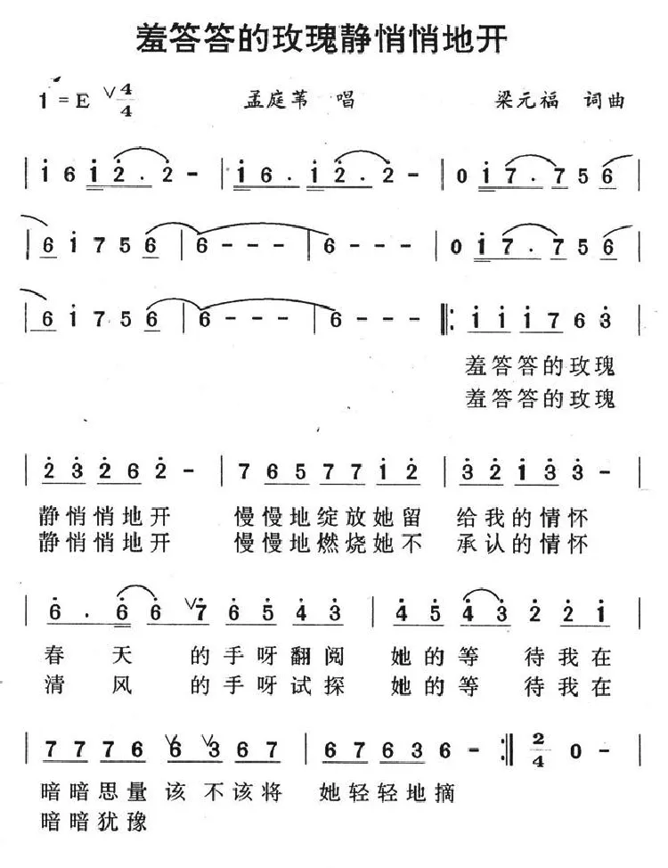 羞答答的玫瑰静悄悄的开