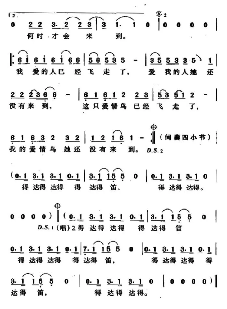 爱情鸟